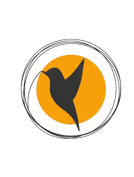 Bird Nest Designs